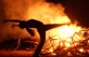 Woman dancing by bonfire