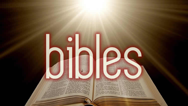 public domain bibles