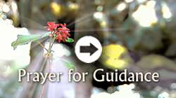 Prayer for Guidance