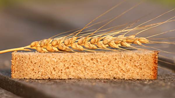 fresh bread with wheat resting on the top