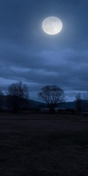 White moon at night