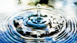 pebble landing in water and causing ripples