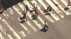 people crossing road seen from above