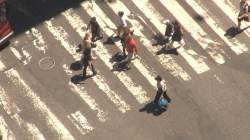 people walking on a road crossing